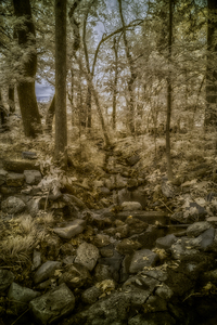 An Evening Stroll: Discovering the Waterless Waterfall at Sam Houston Memorial Park