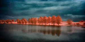 Arcadian Waterside Harmony