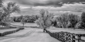 Journey Beyond: Traversing the Worn Road of Appomattox Courthouse Town