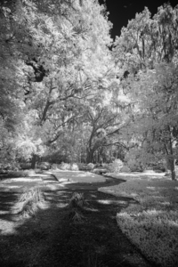 Infrared Pathway