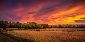 Sunset along a fence