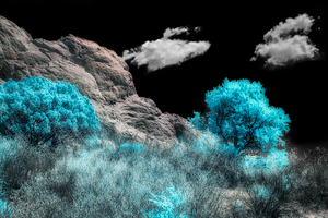 Majestic Rock Wall: Exploring Garden of the Gods Blue Mountain Trees