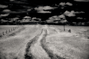 Prairies Eternal Path by Dream World Images
