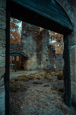 Doorway to Ruins: Bulow Plantation