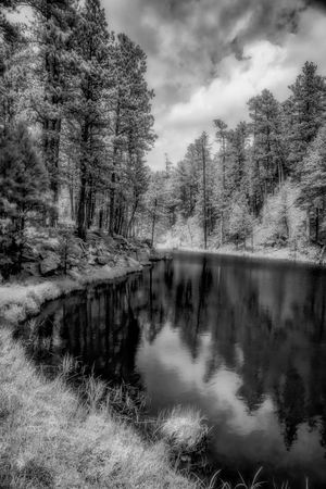 Whispers of Nature: Immersing in the Surreal Beauty of South Dakotas Wilderness