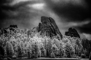 Sylvan Shadows: A Moody Encounter with Natures Drama in Custer State Park by Dream World Images