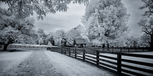 Whispers of Time: A Weathered Road Along Appomattox Courthouse Towns Fences