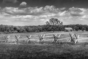 Solitude Unveiled: Whispers of the Countryside