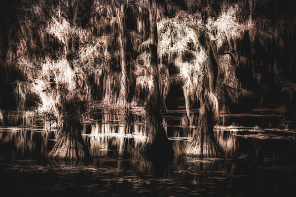 The Light Between Worlds Print