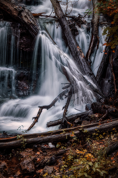 Liquid Light Through Natures Framework Print