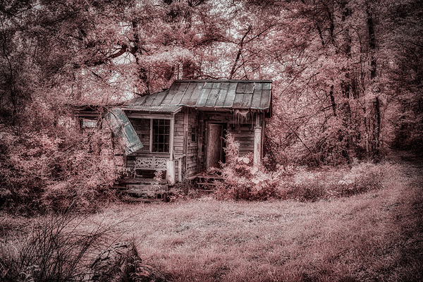 Louisiana Fishing Shack 3 Print