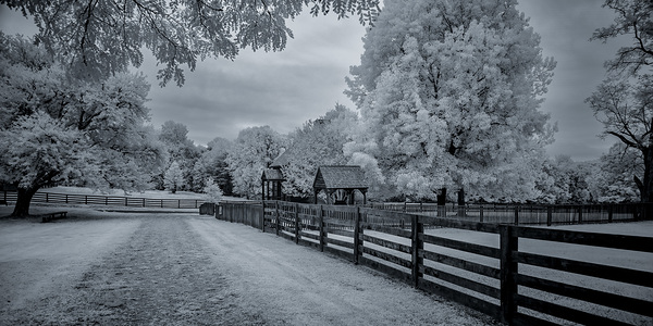 Pathways to Peace Print