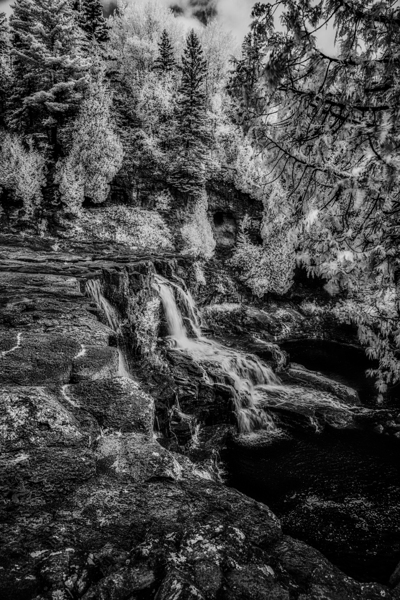 Hidden Sanctuary of the North Woods Print