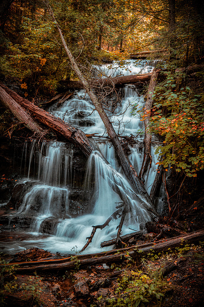 Autumns Liquid Symphony Print