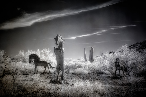 Desert Ballet of Metallic Steeds Print