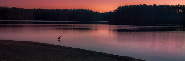 Twilights Whisper Print