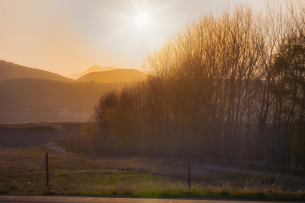 Natures Amber Hour Print