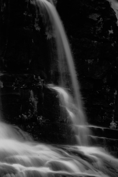 Whispers in the Dark Print