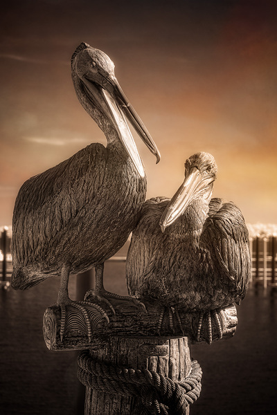 Coastal Guardians Print