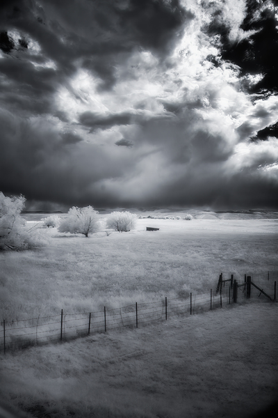 Prairie Solitude   Wyoming Minimalism Print