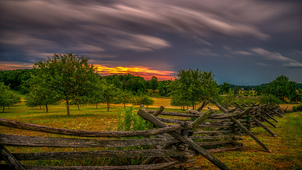 Peach Orchard Storm Print