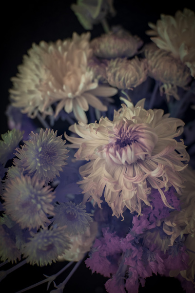 Delicate Symphony in Moody Hues Print