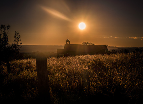 Silhouette in Sunlit Harmony Print