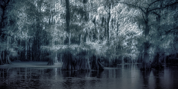 Twilight Between Worlds Print