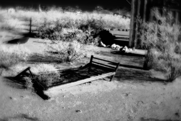 Forgotten Frame in a Sea of Thorn Print