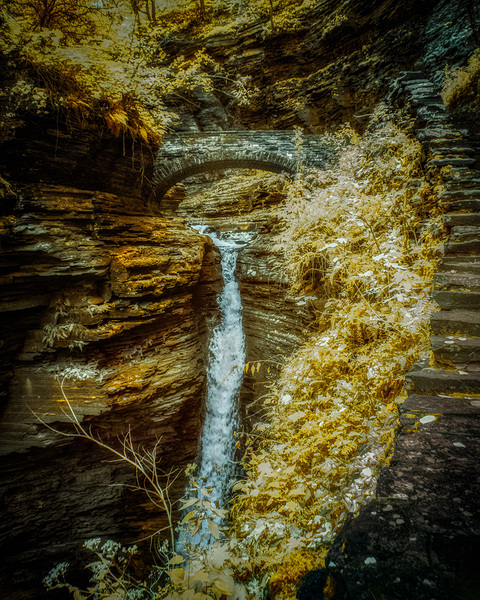 Watkins Golden Arch Print