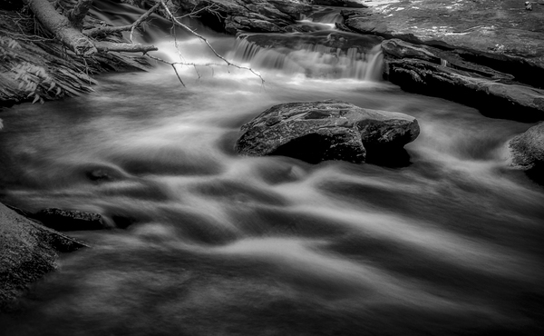 Flowing Elegance Print