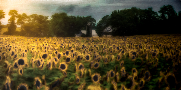 The Field That Remembers the Sun Print