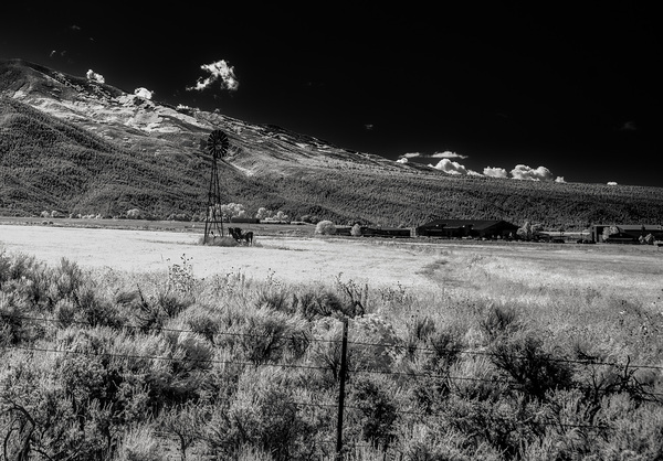 Realm of Whispering Horizons Print