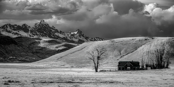 Mountain Homesteads Tale Print