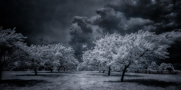 Illumination in Turmoil Print