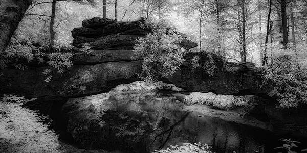 Rocky Tranquility: Natural Bridge Kentucky Print