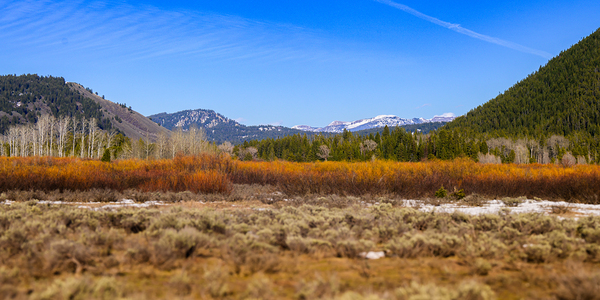 Layers of Winter Promise Print