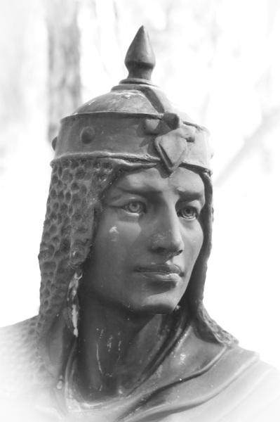 Southern Sentinel Print