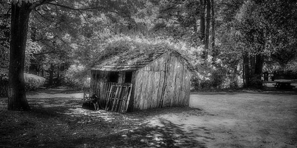 Garden Shack in B&W Print