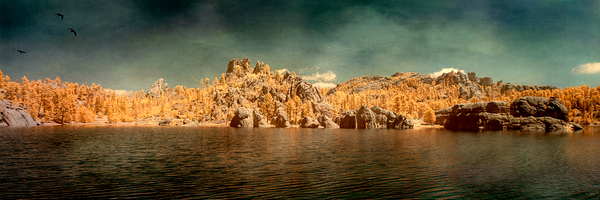 Sylvan Serenity: A Panoramic Odyssey at Custer State Park South Print