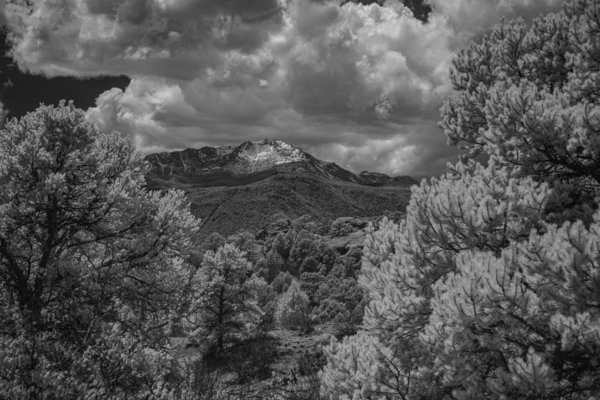Majestic Pinnacle: A Serene Encounter on Scotchman Trail Garden of the Gods Print