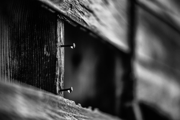 Nebraska Farm - 8 Print