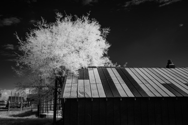 Nebraska Farm - 29 Print