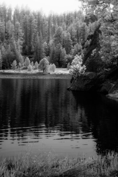 Enchanting Haze: Hazy Pines in Infrared at Sylvan Lake South Dakota Print