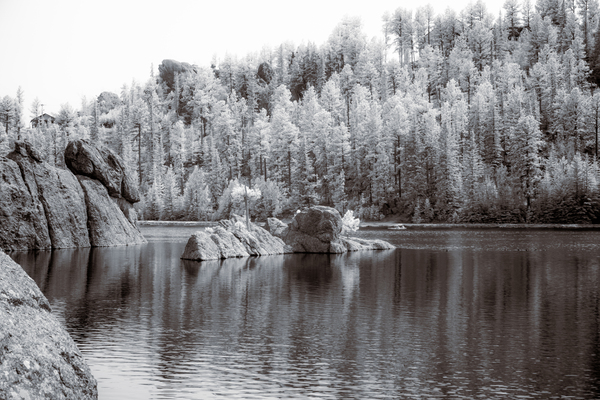 Majestic Pine Island: Capturing Sylvan Lakes Beauty Print