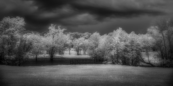 Moody Moments: Texas Roadside Pond Print