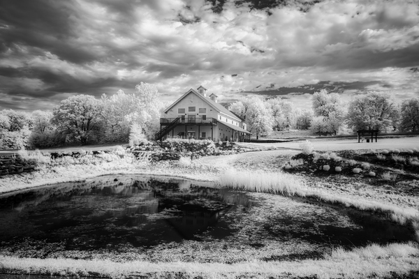 Ethereal Oasis: A Day at Bodega Winery Print