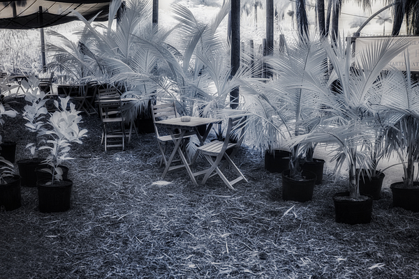 Shady Oasis Cafe Print