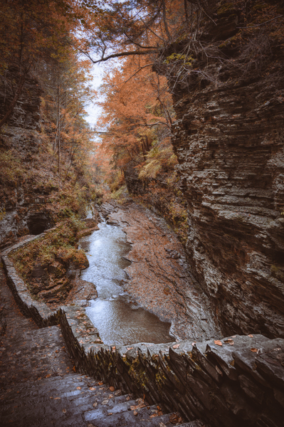 Autumn Gorge Print