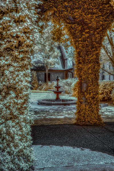 Golden Courtyard Print